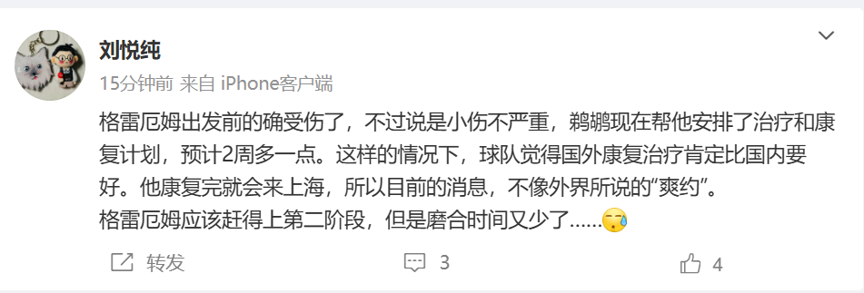 👀上海记者：格雷厄姆出发前受伤了 预计2周后康复 应该赶得上第二阶段